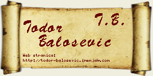 Todor Balošević vizit kartica
